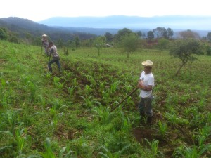 Campesinos (Farmers) near Carrizal