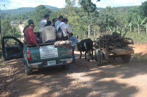 Coming back from El Zapote