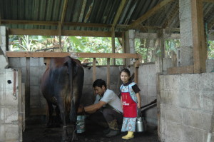 Doing our Chores