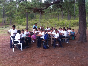 Having School under the trees.