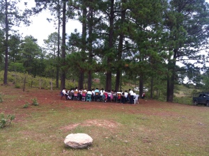 Having School under the trees.