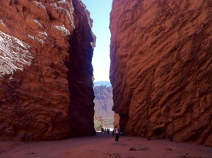 Cafayate Route of Wine