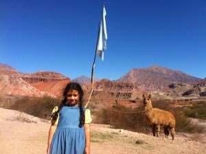 North of Argentina LLamas