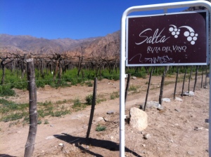 Cafayate Route of Wine