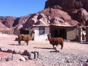 Cafayate Route of Wine