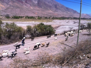 Tilcara, Northern Argentina