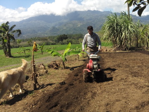 Learning gardening in Honduras