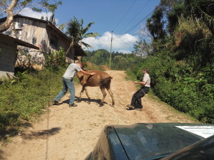 Removing the obstacles on our way to Yure!